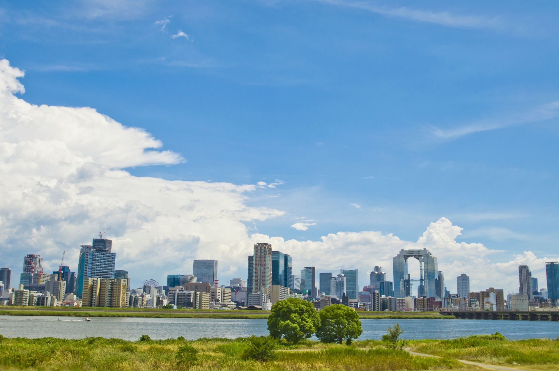 介護と障害福祉専門の税理事務所のイメージ画像_大阪市の淀川沿いビル郡